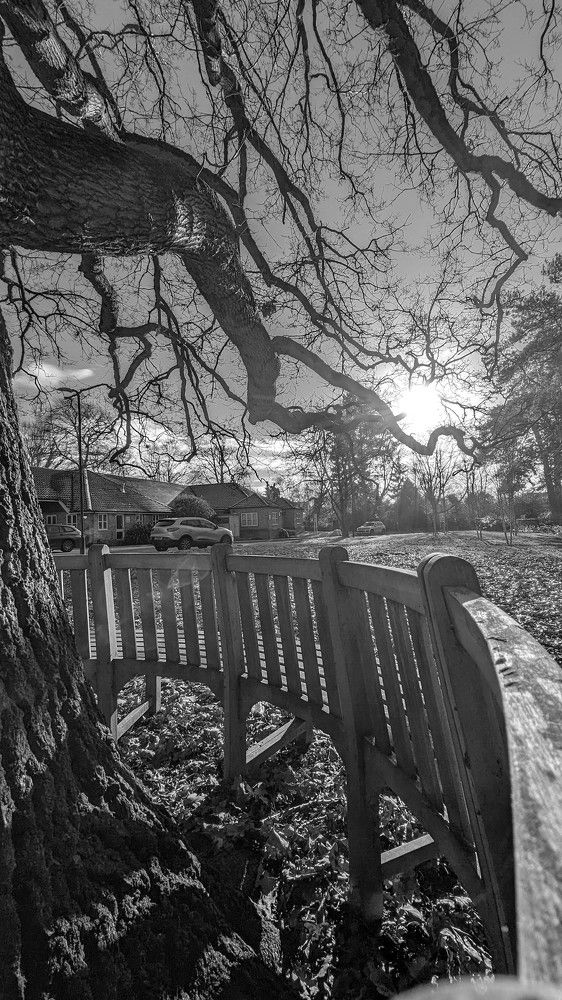 Photograph by Sai udeep sagar Yadalla