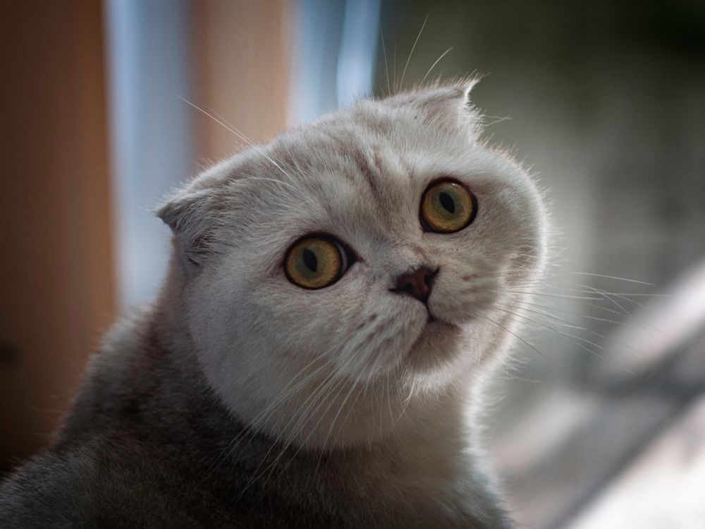 Photograph by Константин Терёхин