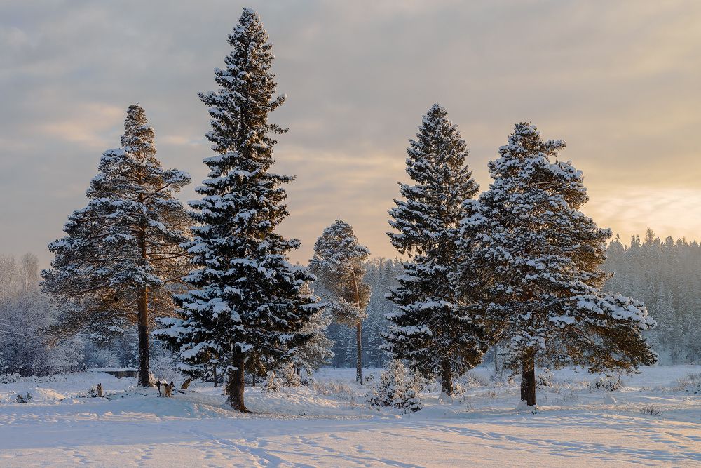 Photograph by Воинков Виктор