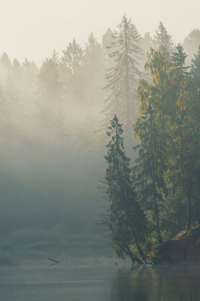 Photograph by Alexander Shershnev