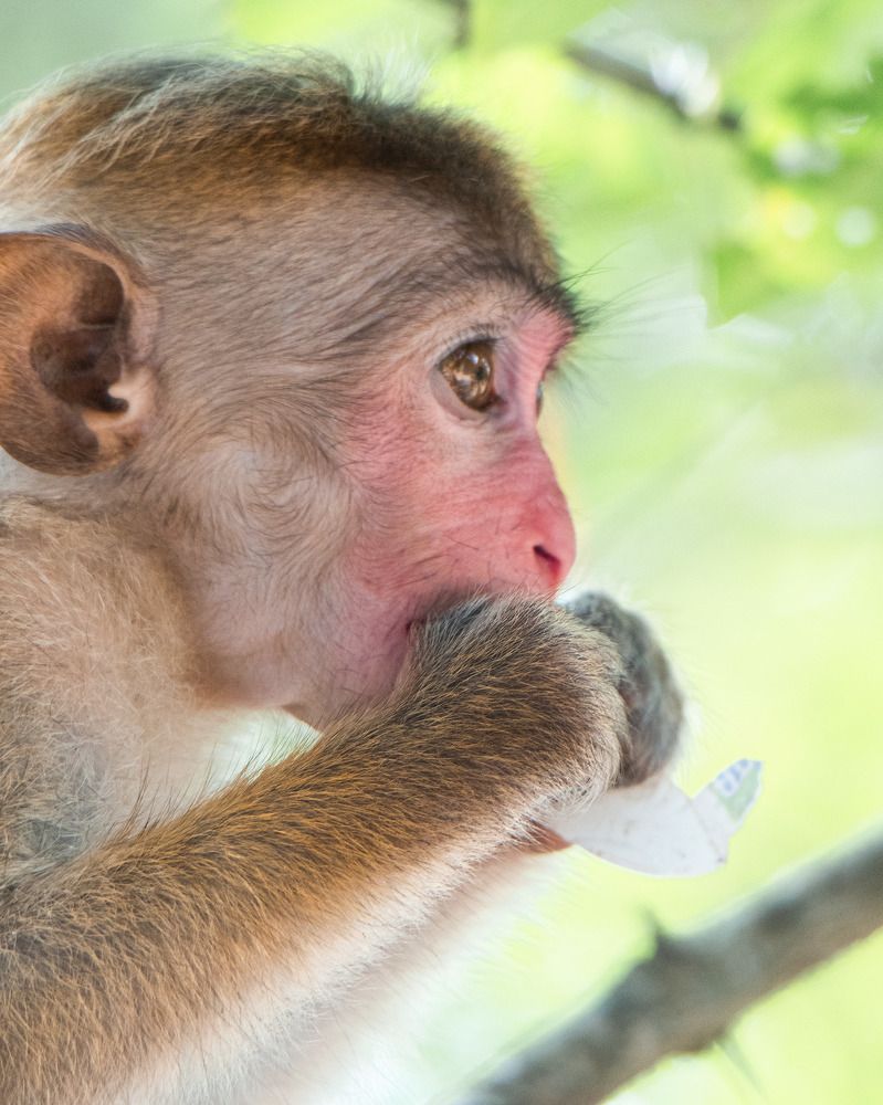 Photograph by Mohamed Raseem