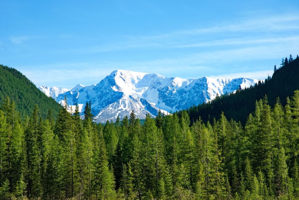 Фотография автора Сергей