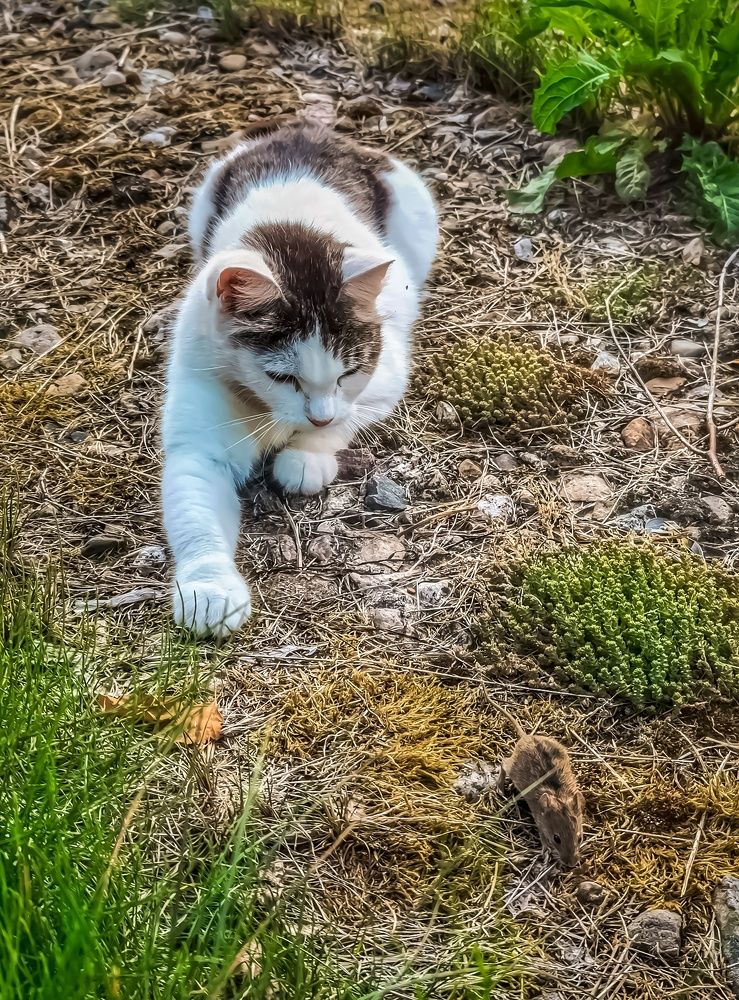 Photograph by Алексей Копылов