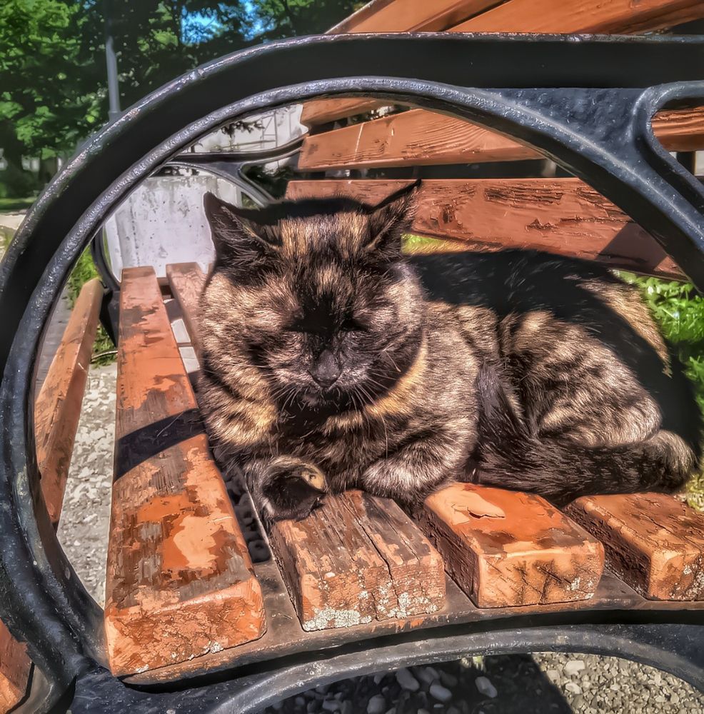 Photograph by Алексей Копылов