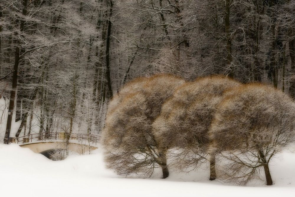 Photograph by Владимир Брагилевский