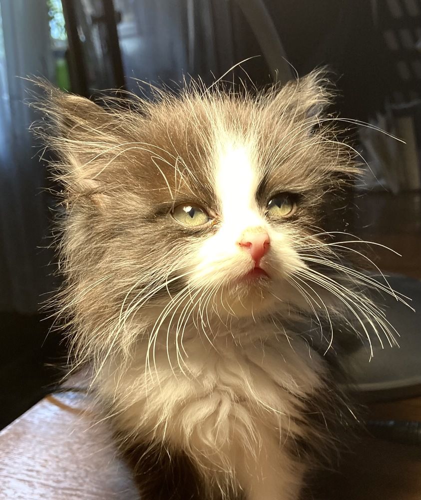 Photograph by Виктория Триско