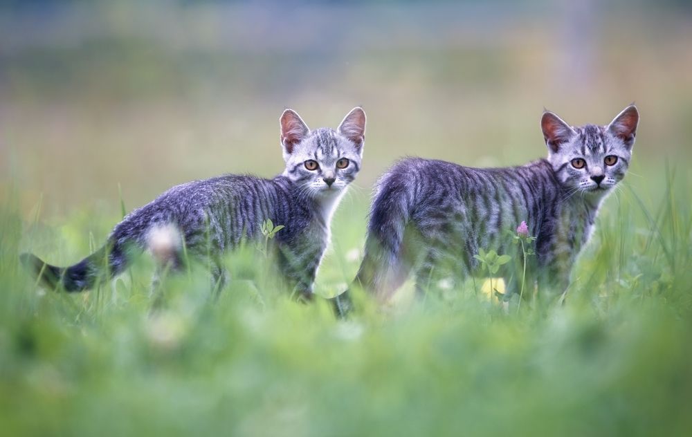 Photograph by Баранов Олег