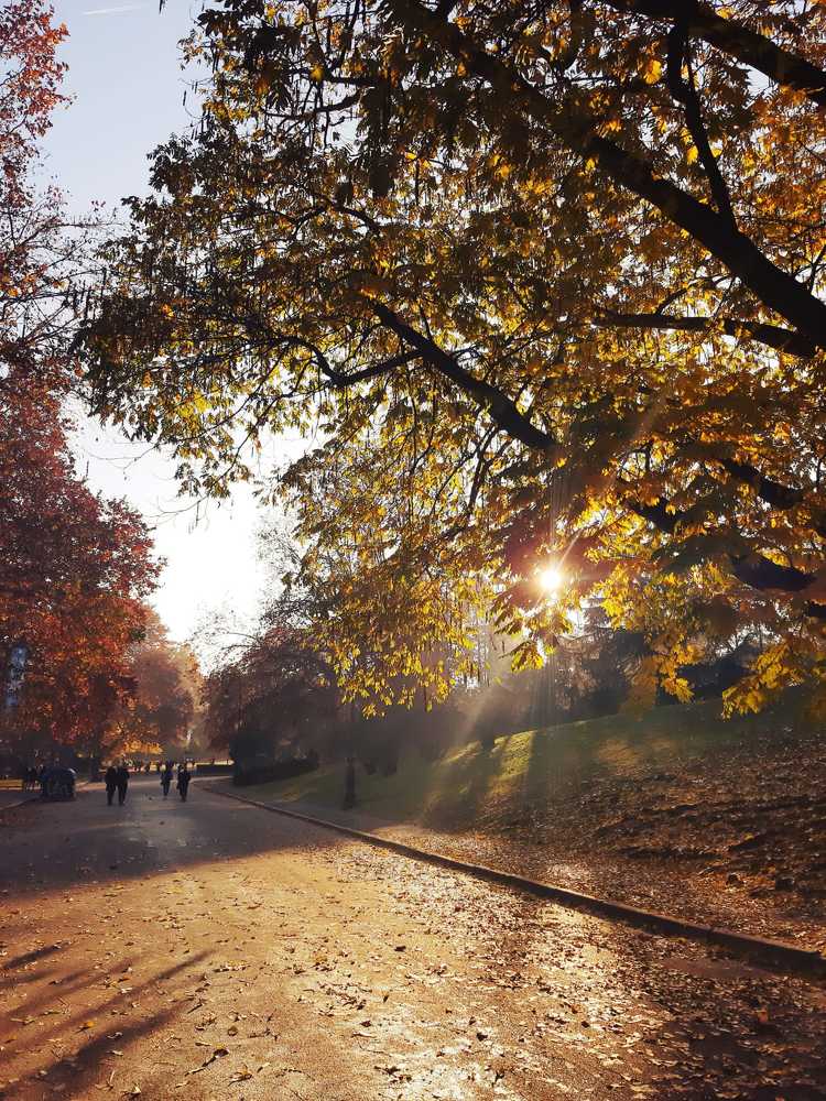 Photograph by Юлия