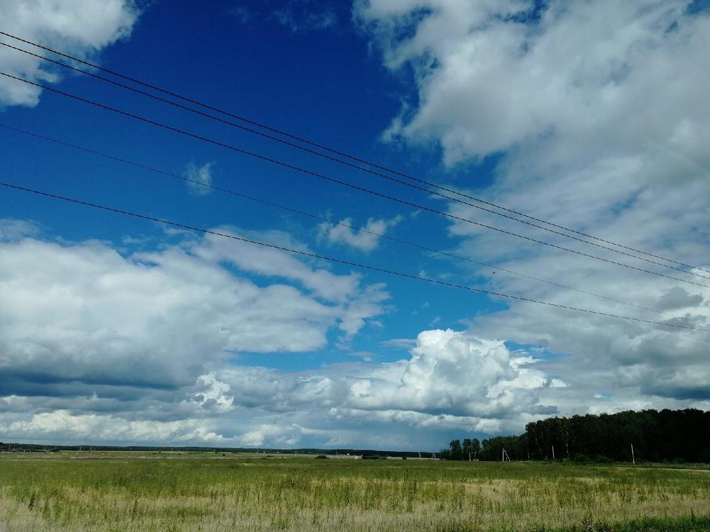 В небо в небо мне бы..