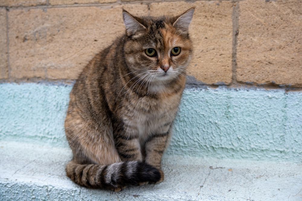 Photograph by Виталий Маслов