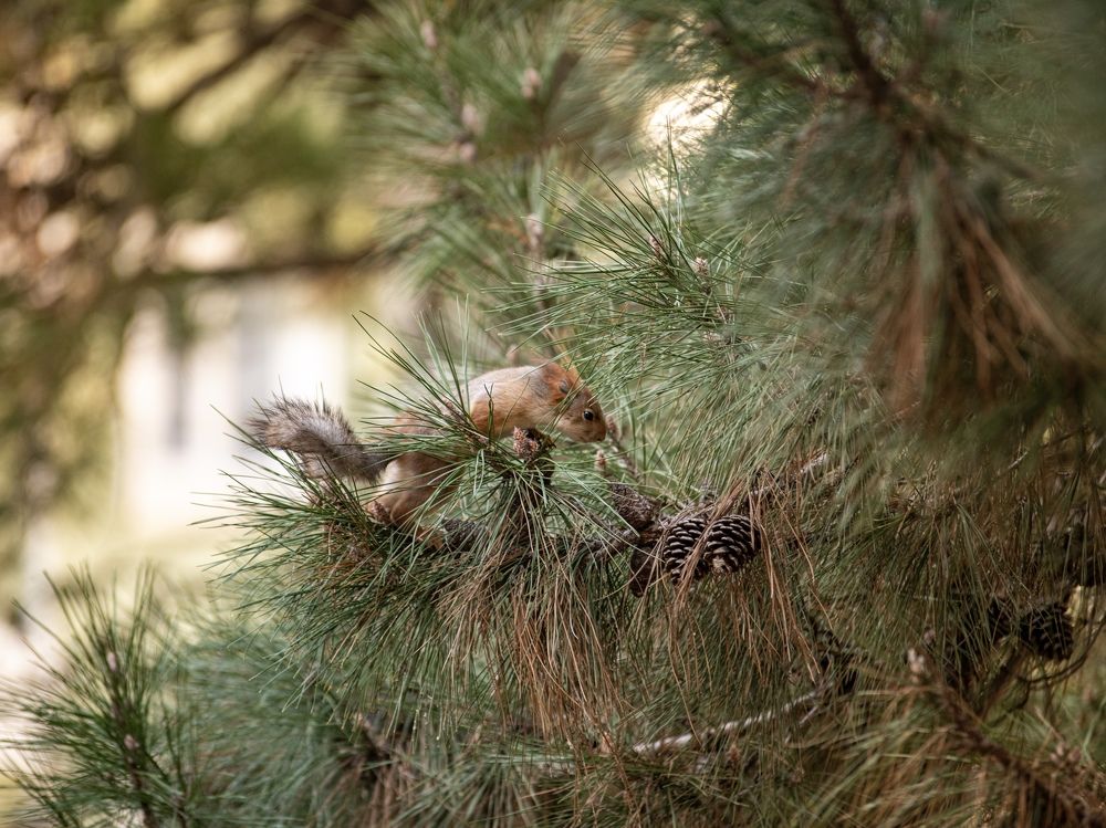 Photograph by Roman Odin