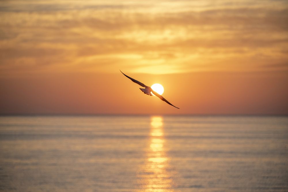 Photograph by Roman Odin