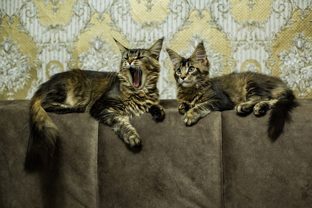 Photograph by Ирина Лазарева