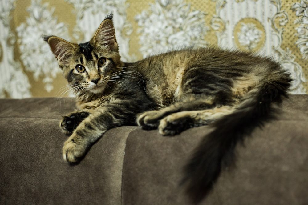 Photograph by Ирина Лазарева