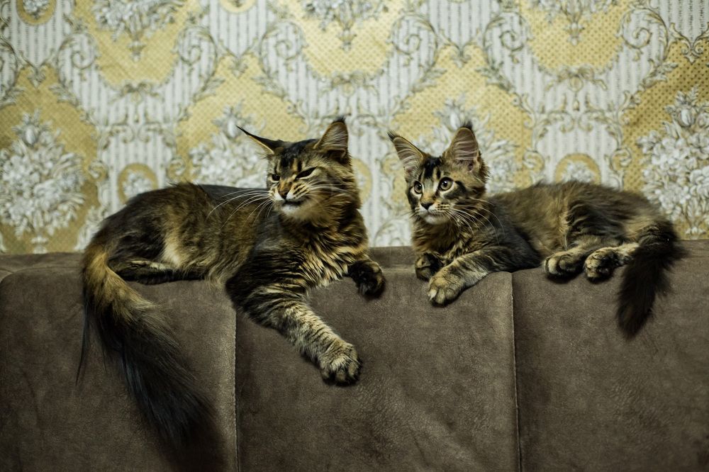 Photograph by Ирина Лазарева