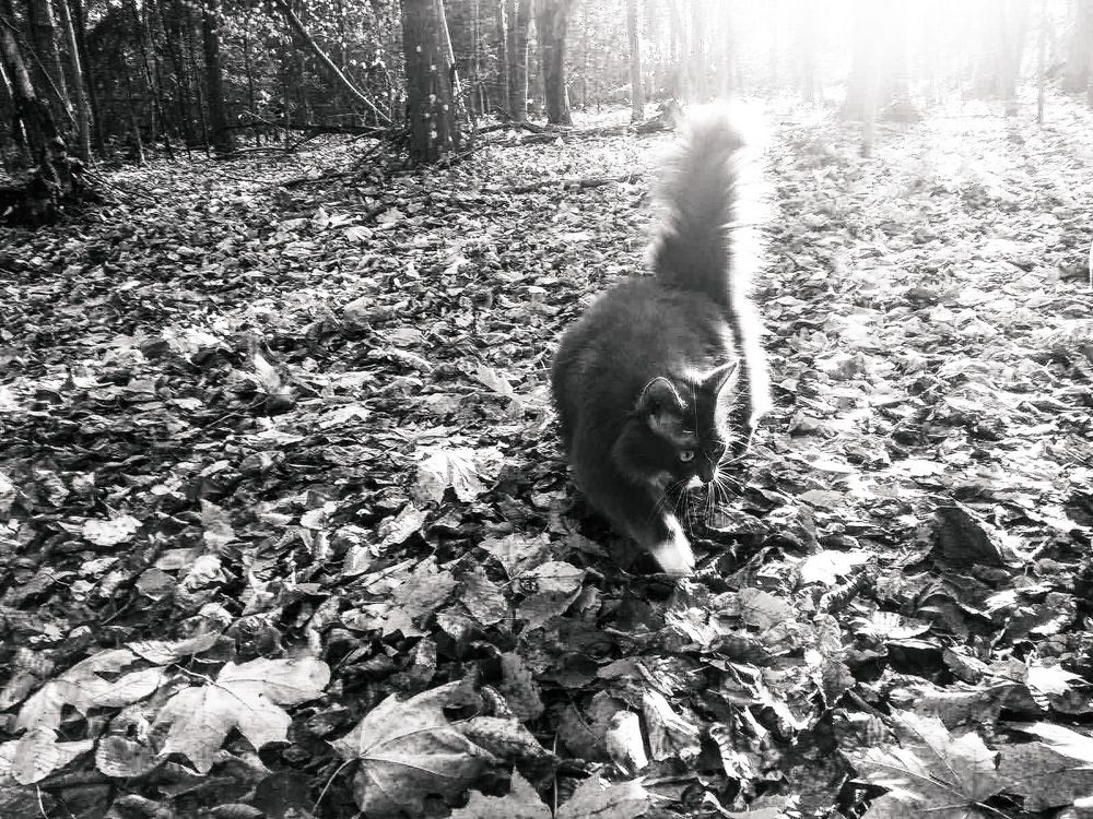 Photograph by Леончик Ирина