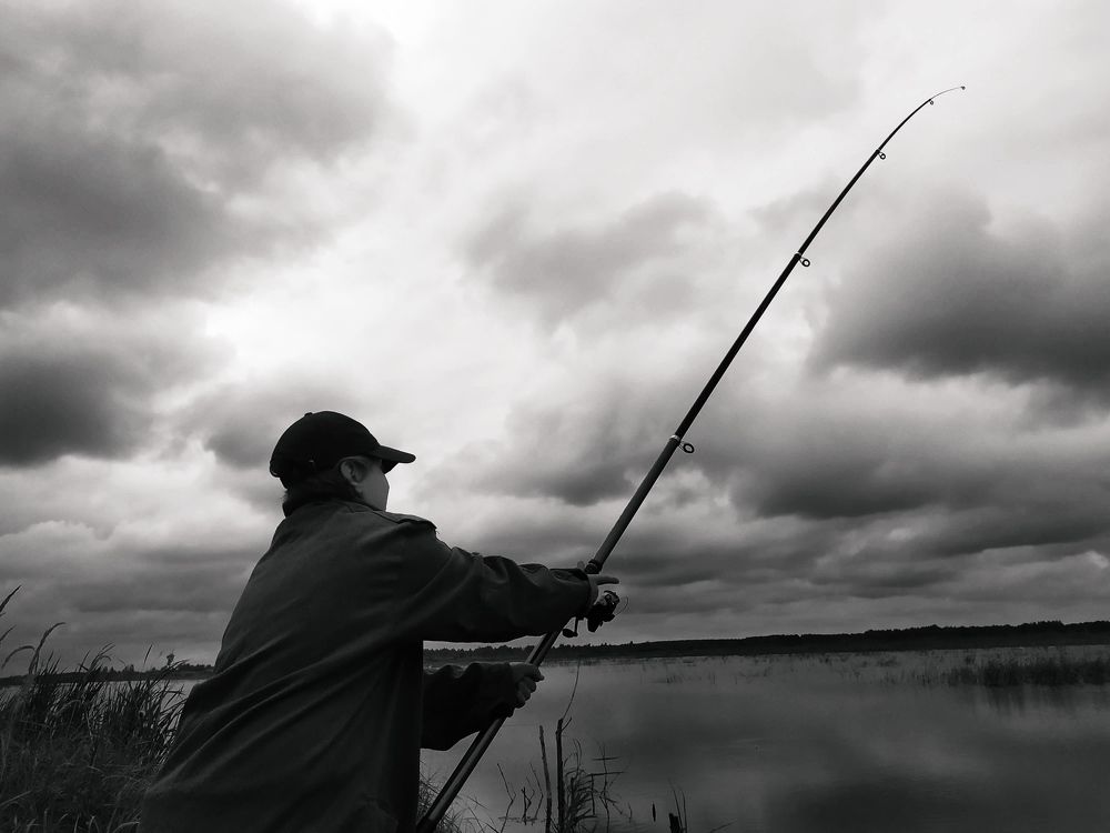 Photograph by Леончик Ирина