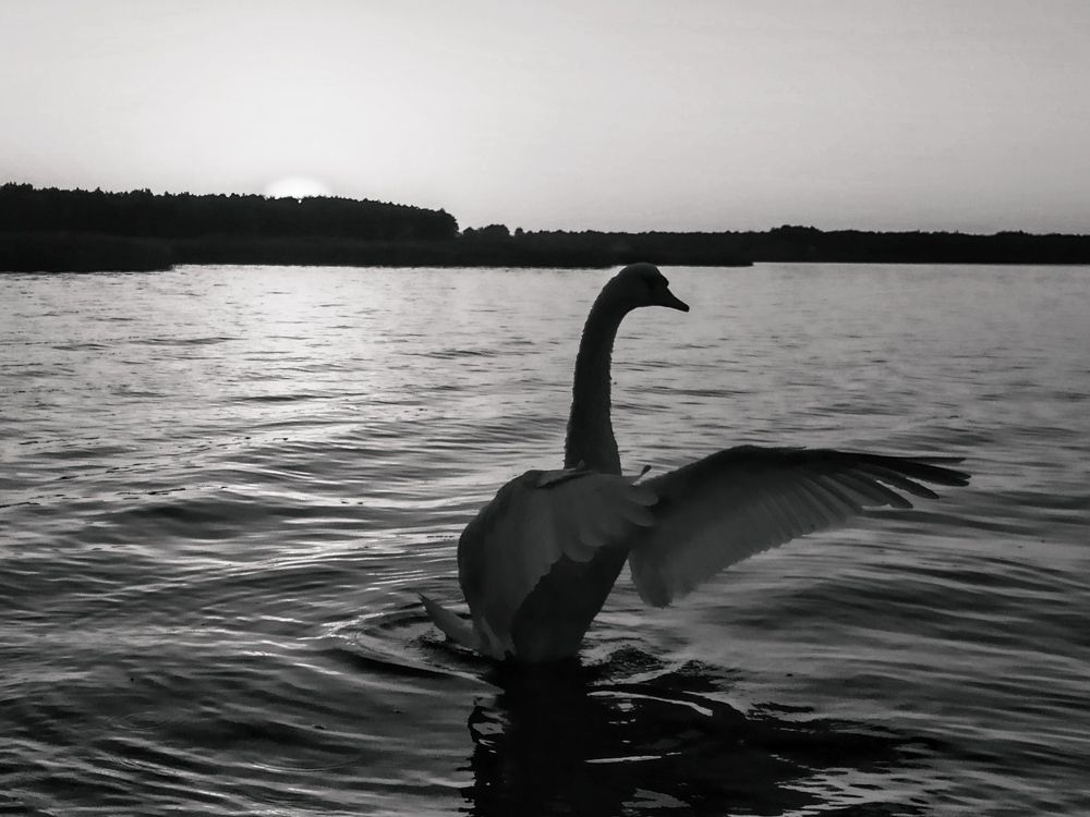 Photograph by Леончик Ирина