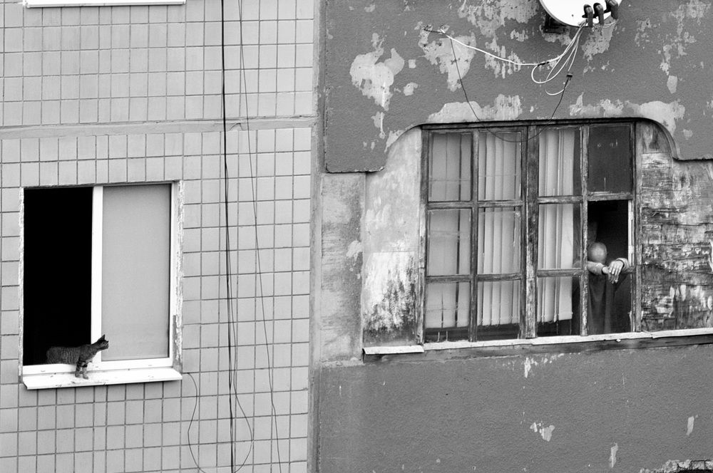 Photograph by Светлана