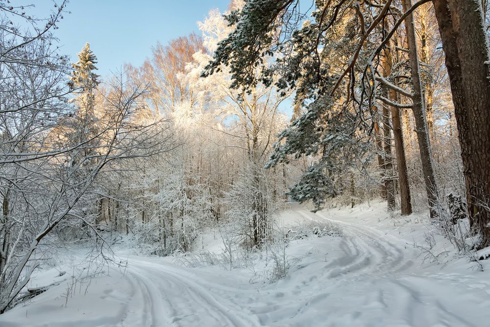 Photograph by Владимир Архипов