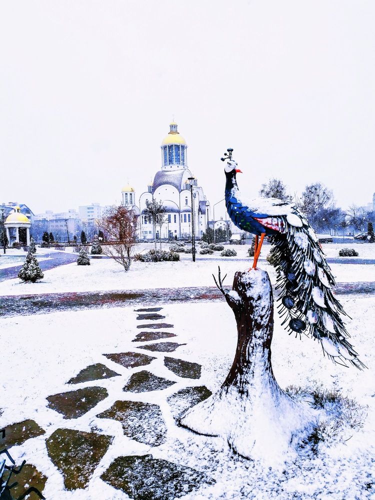 Photograph by Леончик Ирина