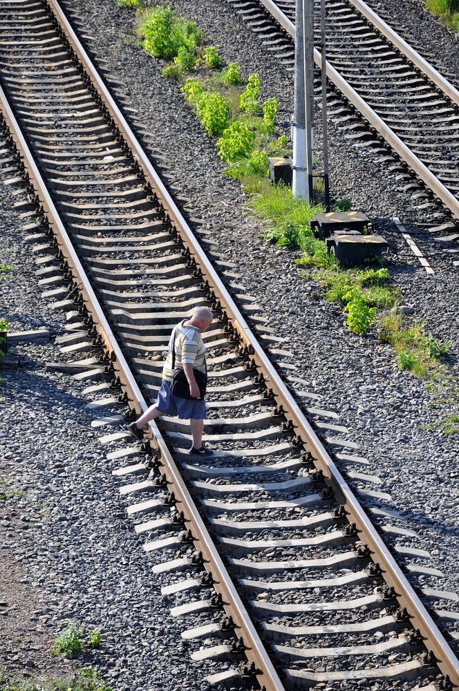 Photograph by Светлана