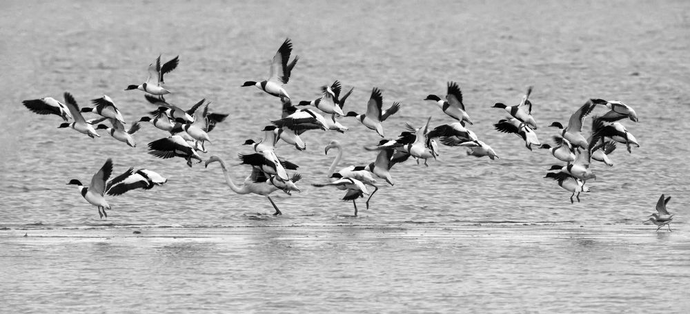 Photograph by Stamen Sotirov