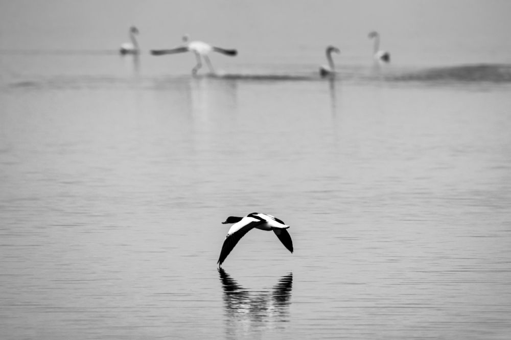 Photograph by Stamen Sotirov