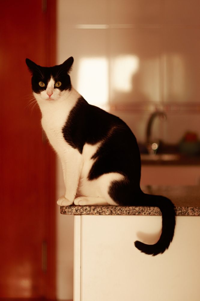 Photograph by Torres