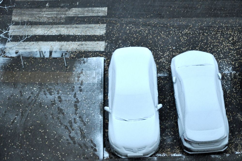 Photograph by Светлана