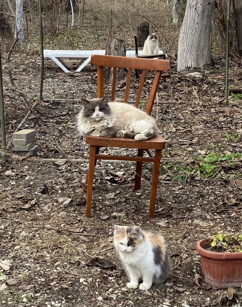 Photograph by Виктория Триско