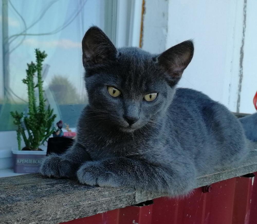 Photograph by Евгения Иванчикова