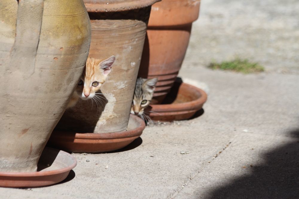 Photograph by Nadzeya