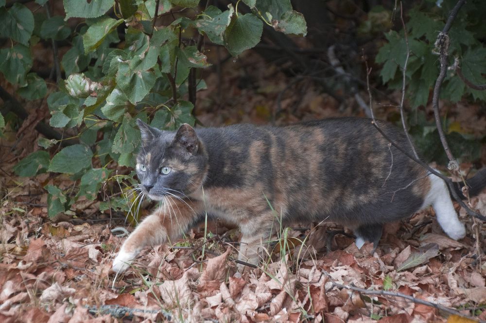 Photograph by Елена Иванова