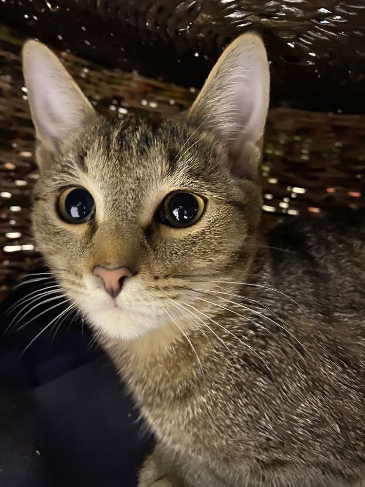 Photograph by Aлександра Чаплыгина