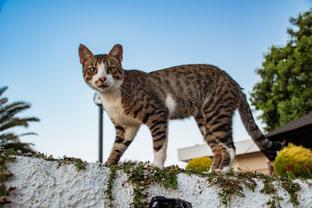 Photograph by Алексей Алексеев