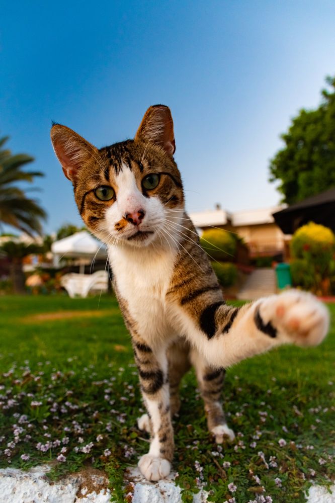 Photograph by Алексей Алексеев