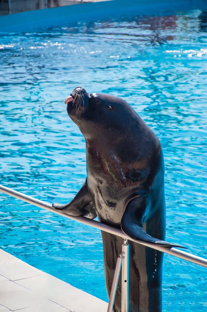 Photograph by Алексей Алексеев