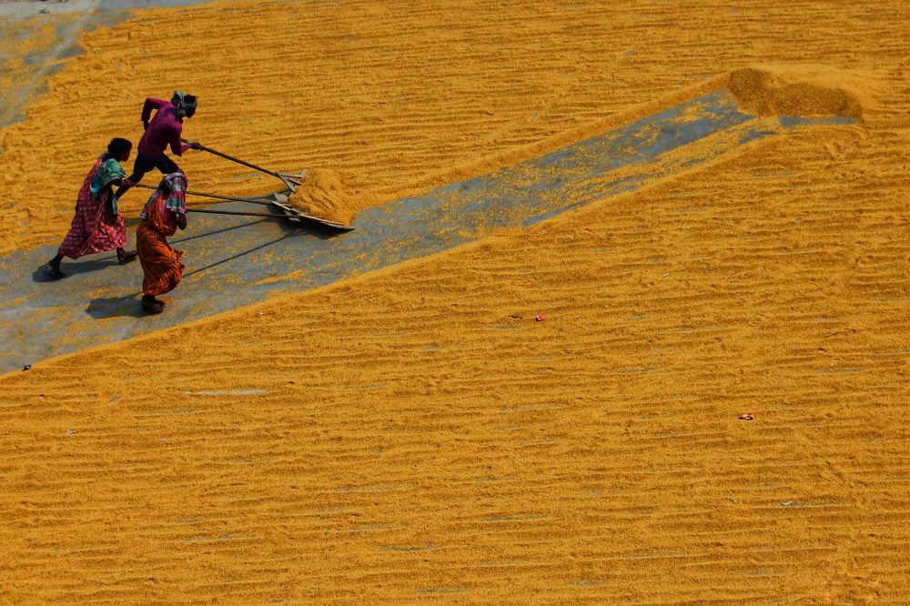 Photograph by DIBAKAR ROY