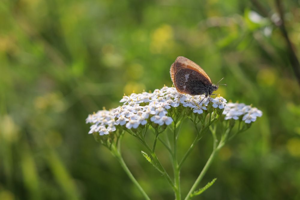 Photograph by Екатерина