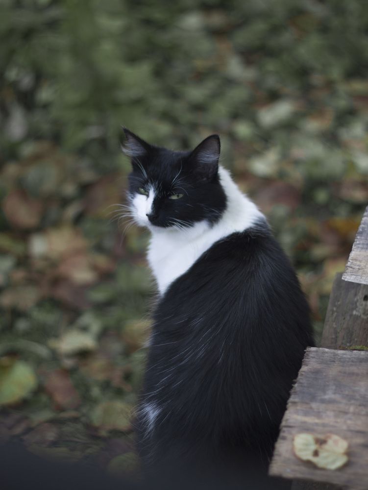 Photograph by Елена Иванова