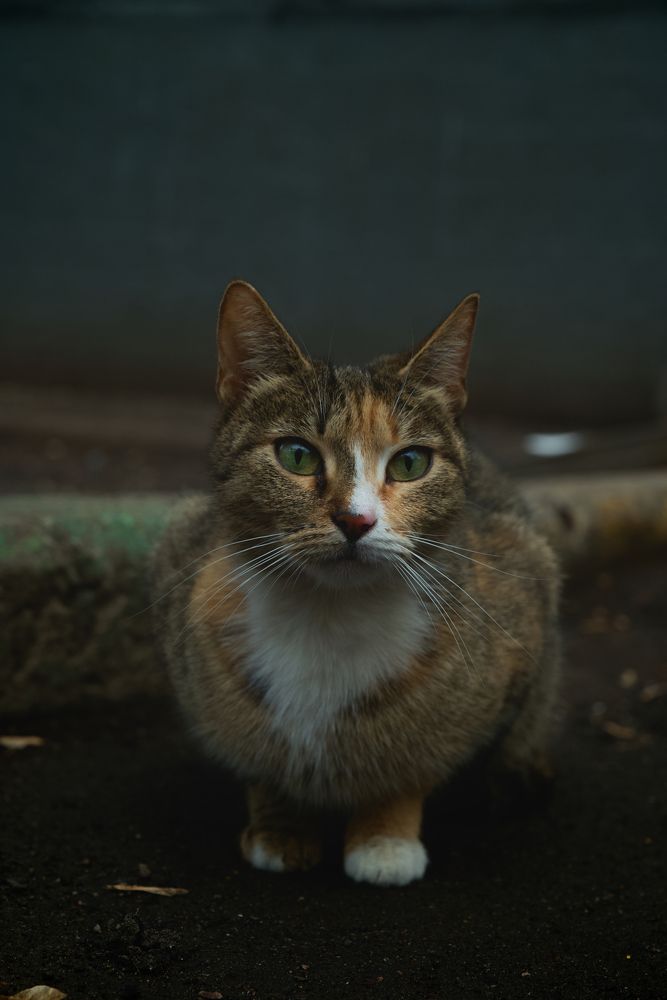 Photograph by Alexander Lukin