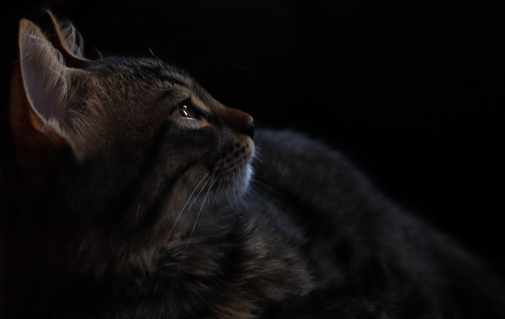 Photograph by ASHRAF FATHY BAKRY