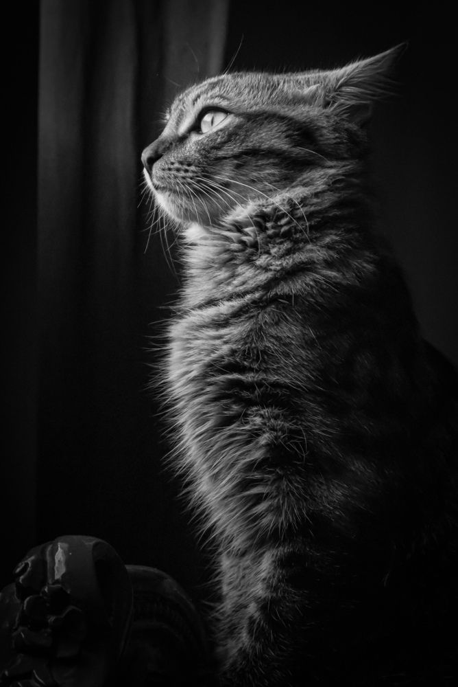 Photograph by ASHRAF FATHY BAKRY