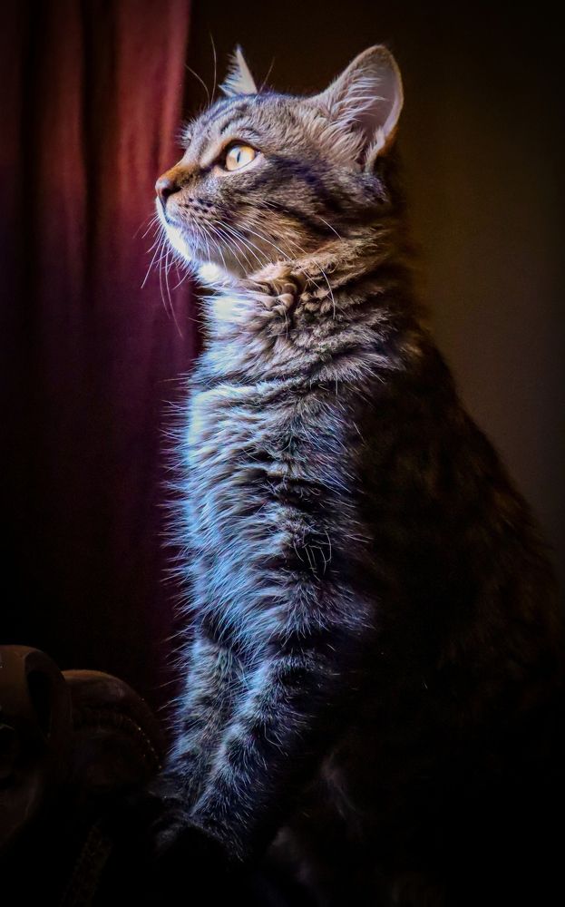 Photograph by ASHRAF FATHY BAKRY