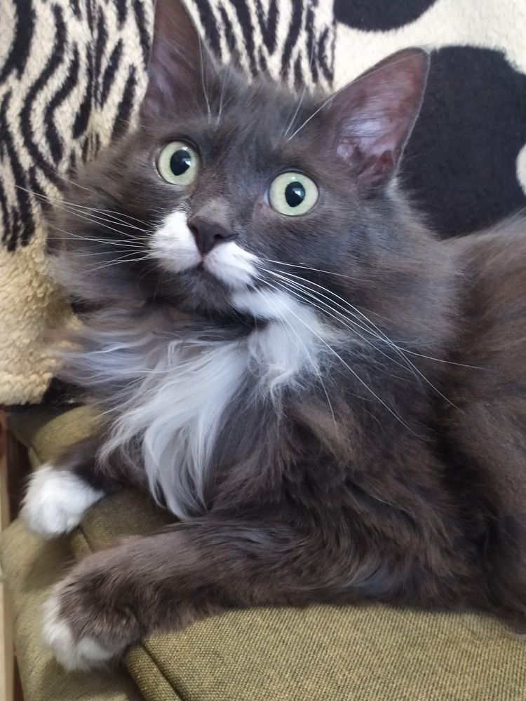 Photograph by Леончик Ирина