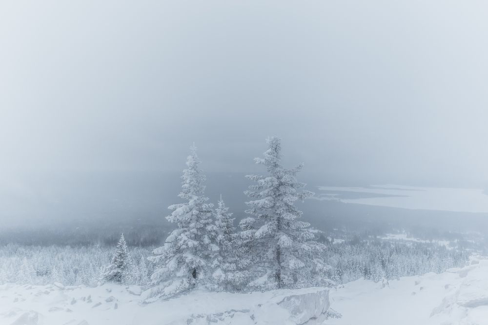 Photograph by Никита Волокитин