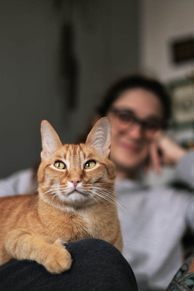 Фотография автора Diego G. Brancaccio Goldas