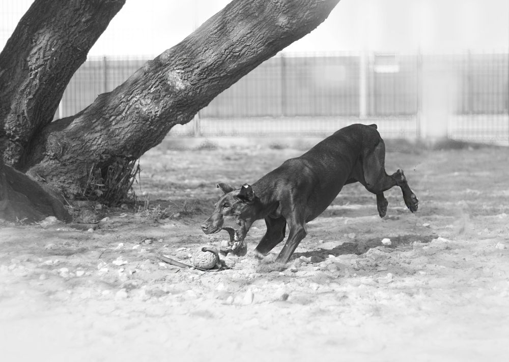 Photograph by Елена Иванова