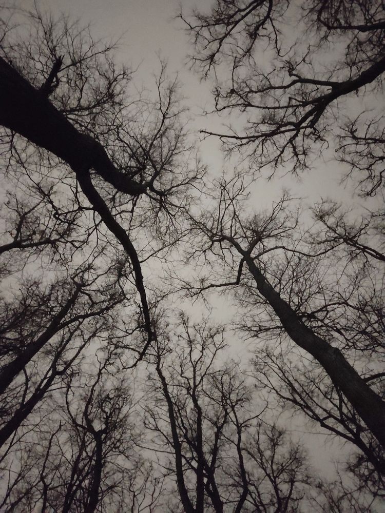 Photograph by Юлия Реутова